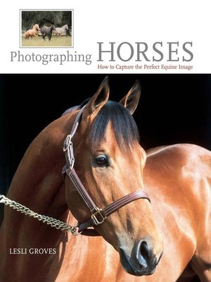 cover image of Photographing Horses